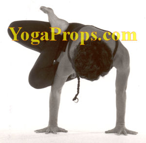 http://www.yogaprops.com/images/parsvakukkutasanatext300.jpg