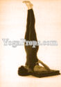 http://www.yogaprops.com/images/products/blanketshoulderstandwarmyp88.jpg